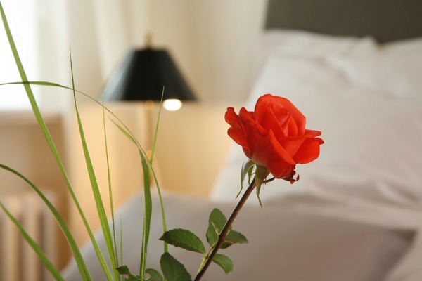 FeWo Harms Hoff – Schlafzimmer1-1 Rote Rose mit Bett im Hintergrund